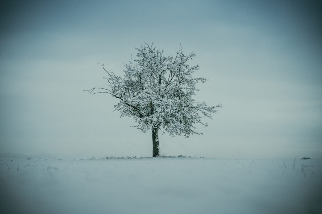 Fotografieren im Schnee