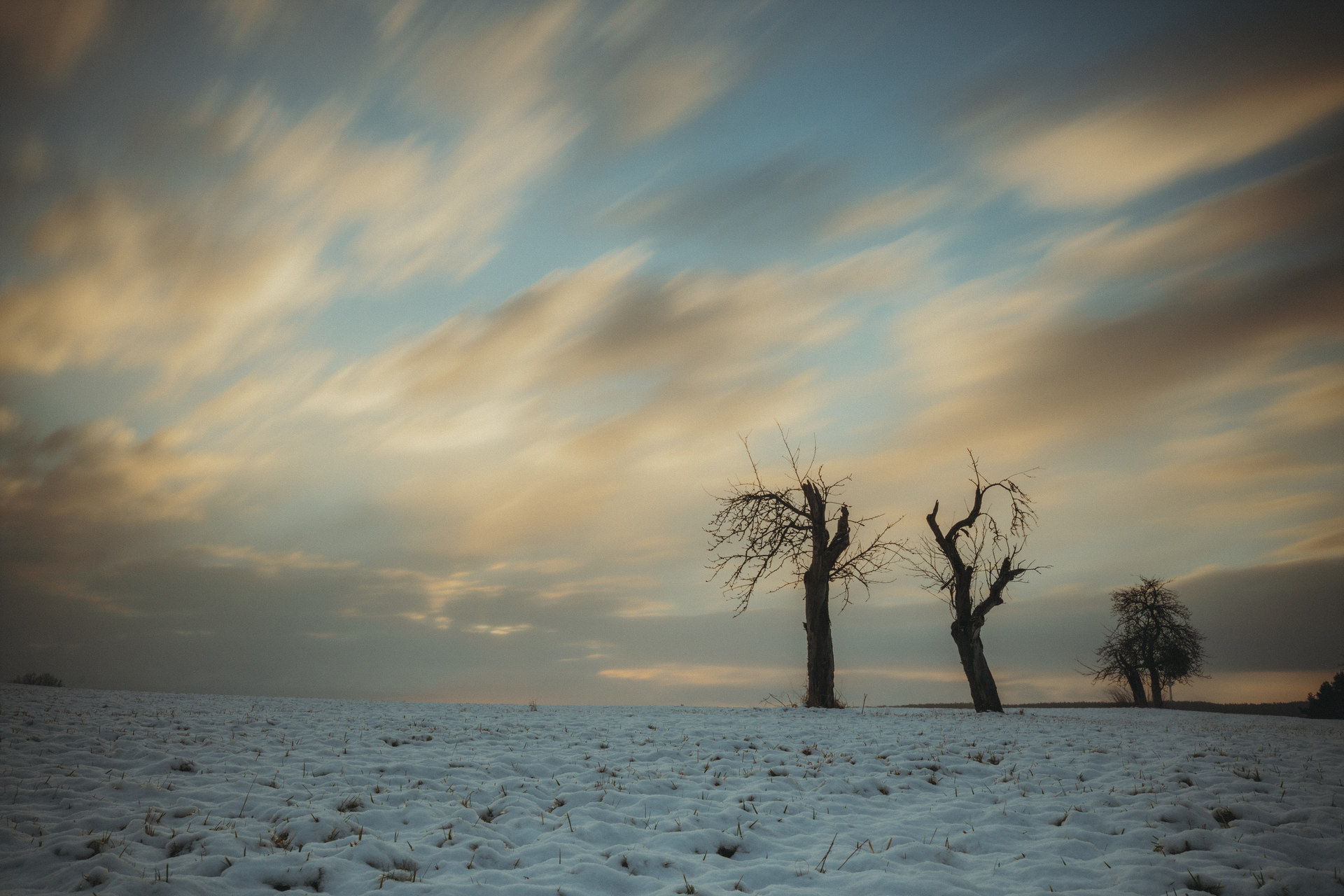 Fotografieren bei Wind