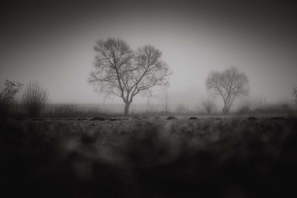 Fotografieren im Nebel