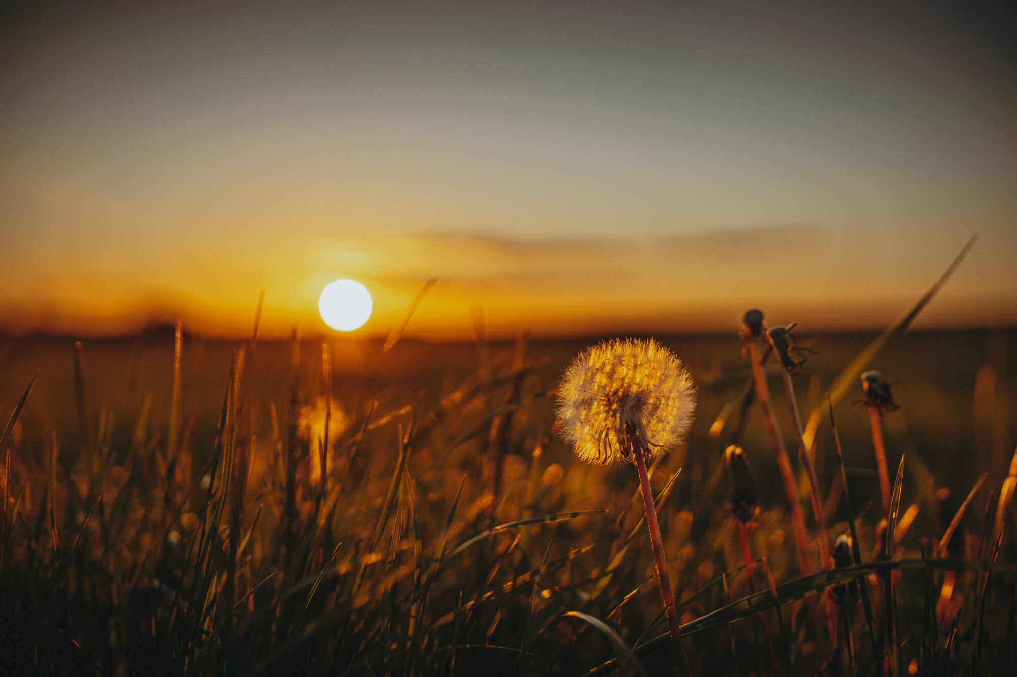 Goldene Stunde fotografieren