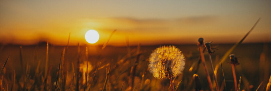 Goldene Stunde fotografieren